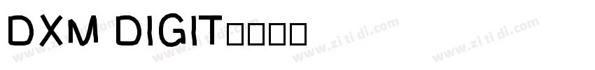 DXM DIGIT字体转换